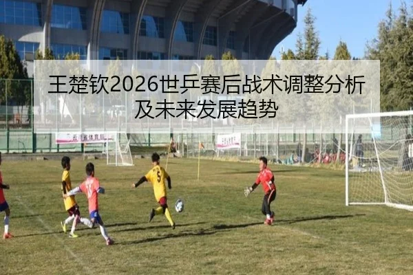 王楚钦2026世乒赛后战术调整分析及未来发展趋势